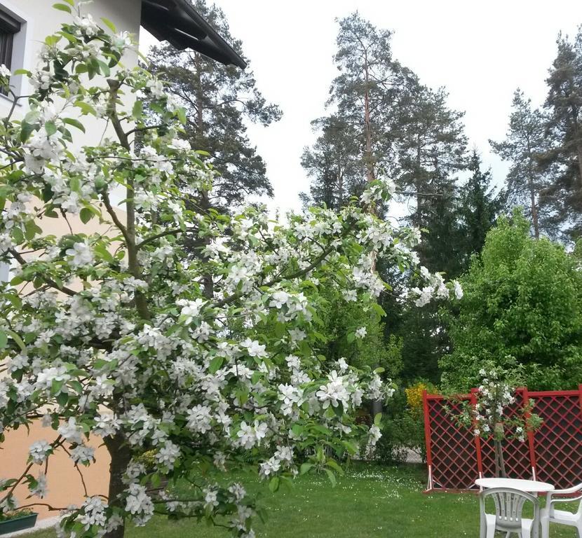 Ferienwohnung Kerth Санкт-Канциан Экстерьер фото